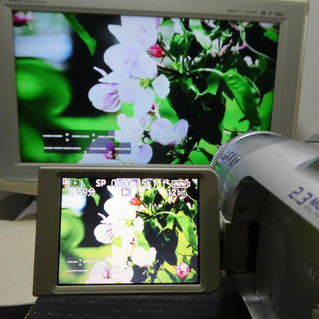 動作良好 パナソニック NV-GS150 MiniDVビデオカメラDVD化に最適