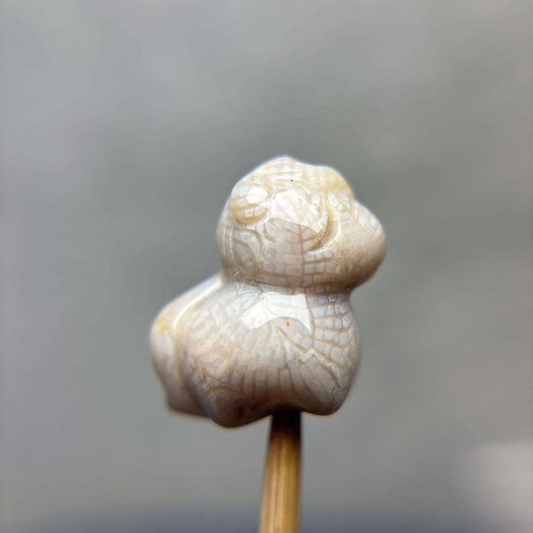 tamagoフォッシルコーラル　馬パーツ　1-146