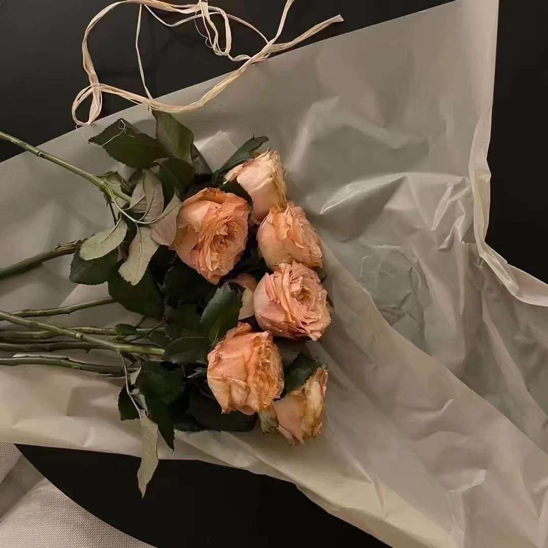 プーさん　HRV KK 2