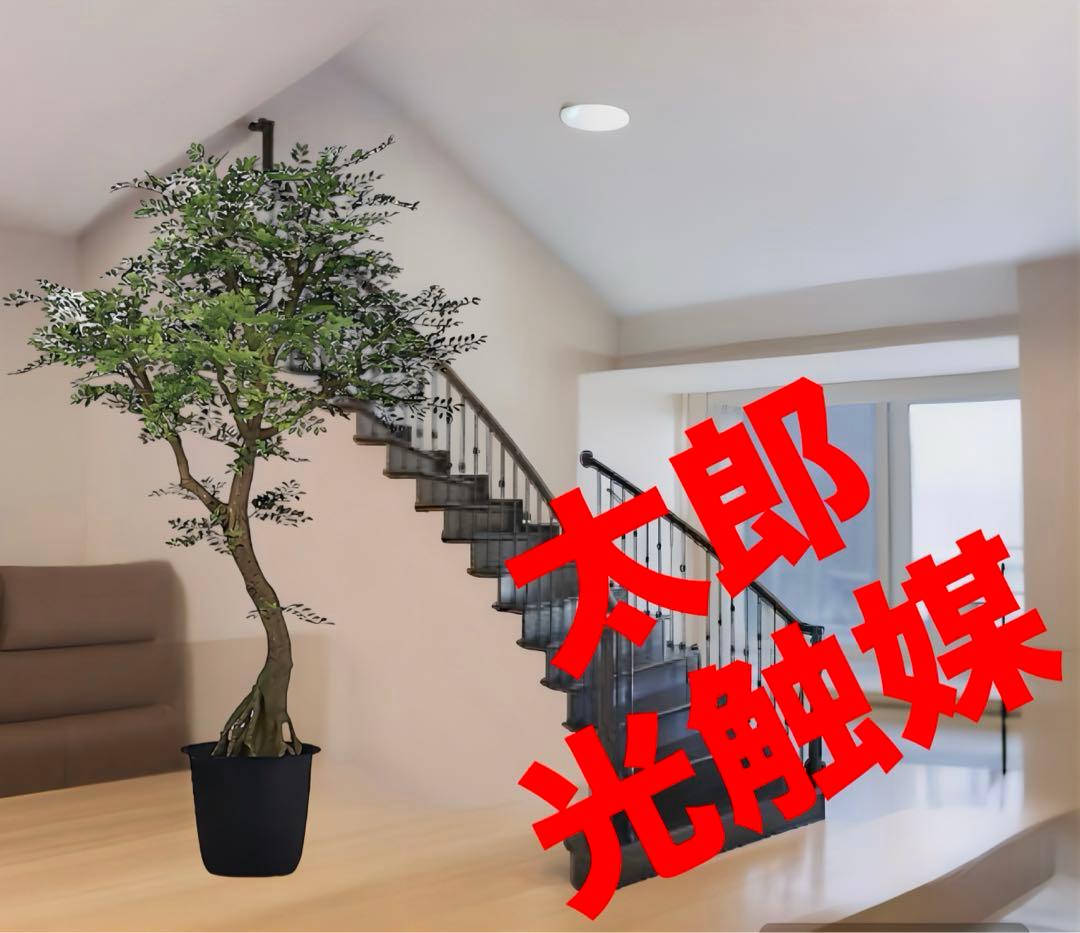 光触媒　人工観葉植物　ウォールグリーン　フェイクグリーン　ゴールデンコアッド