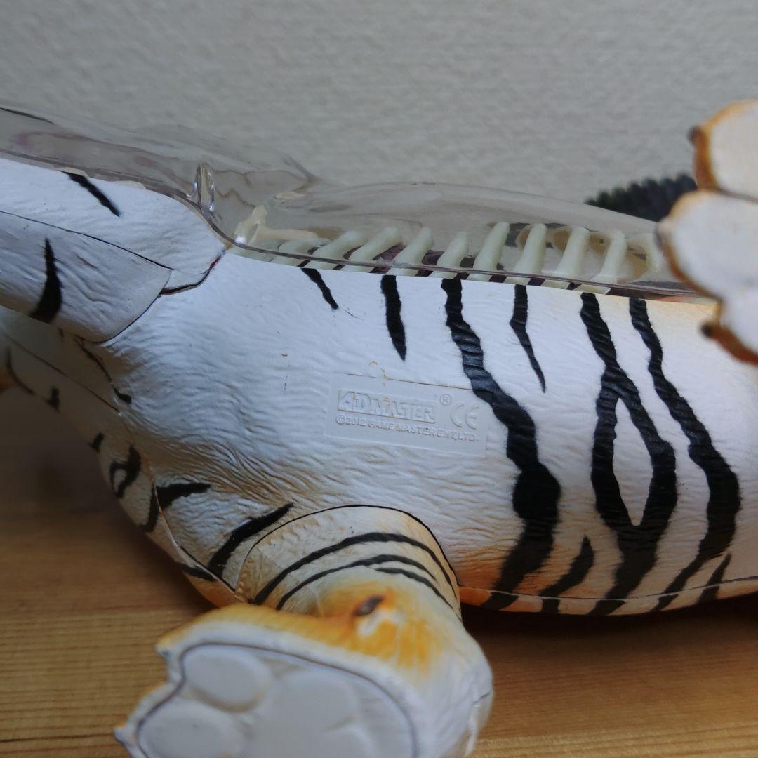 スケルトン 解剖 動物模型 ワニ トラ 馬　フグ 4 VISION剖　ハロウィン