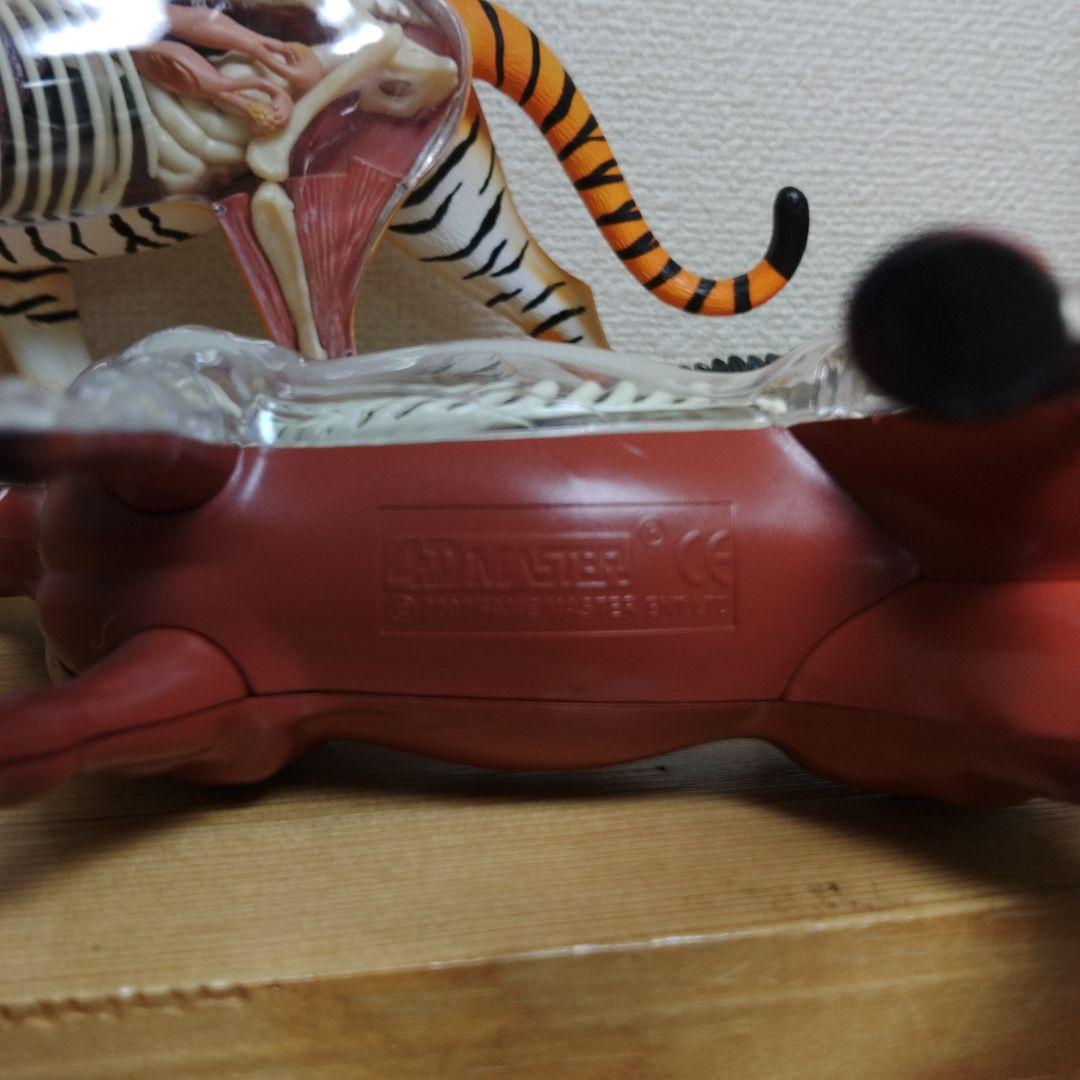 スケルトン 解剖 動物模型 ワニ トラ 馬　フグ 4 VISION剖　ハロウィン