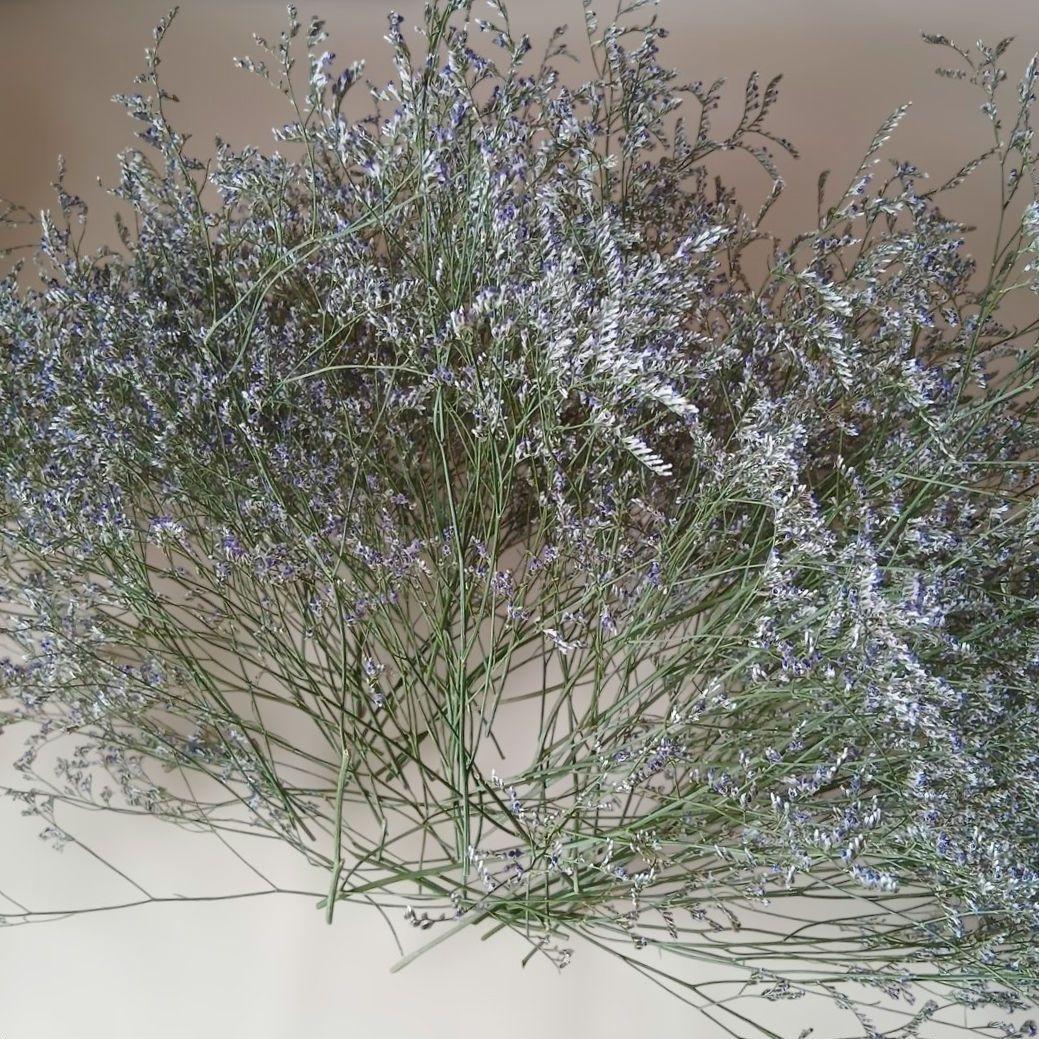 専用商品　確認用　ブルーファンタジア　ドライフラワー