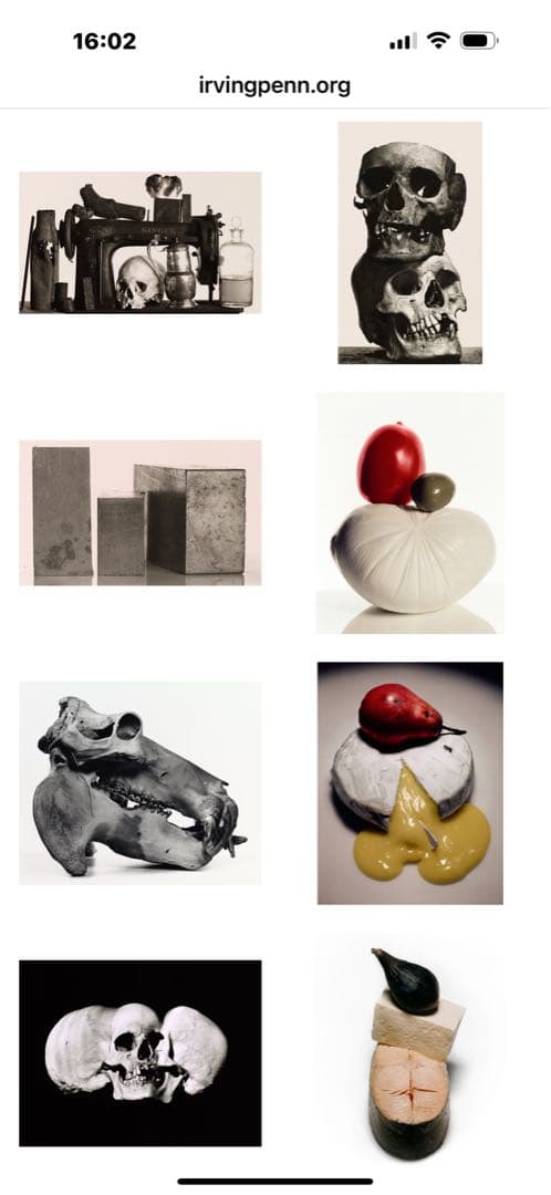 未開封「Still Life 」Irving Penn 出版イギリス2001年