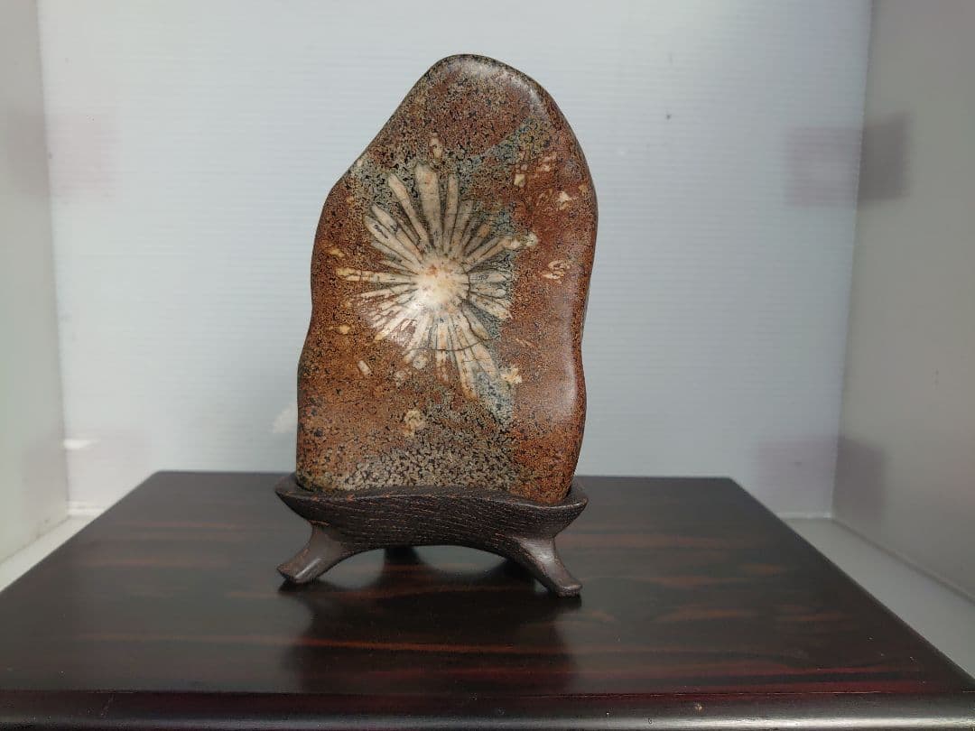 鑑賞石、アクアリウム、苔テラリウム、箱庭、坪庭、水石、盆栽、鉱石、菊花石