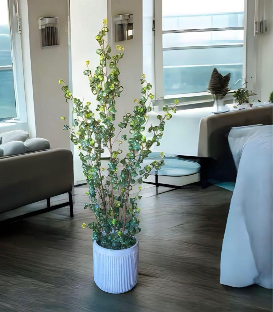 光触媒　人工観葉植物　ウォールグリーン　フェイクグリーン　ベンジャミンバロックy