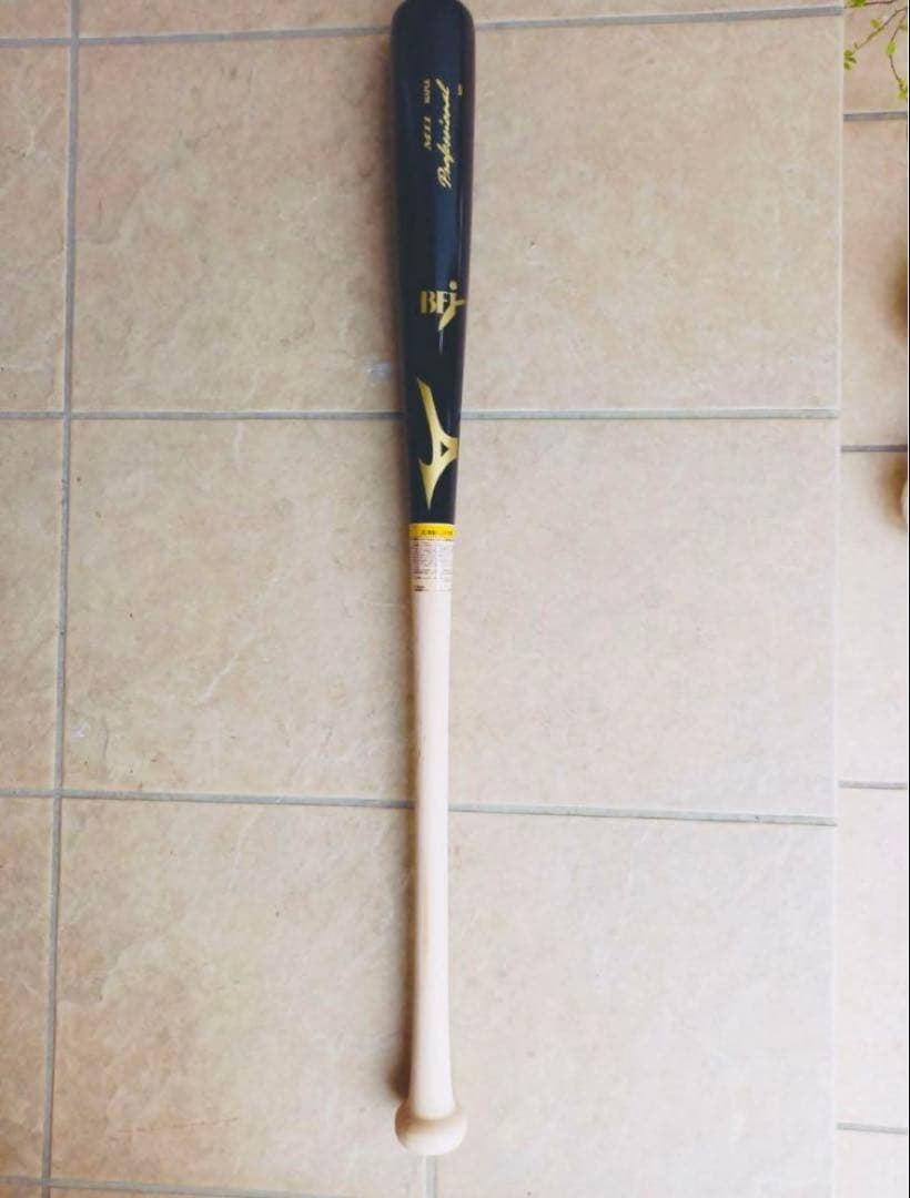 硬式バット ミズノ プロフェッショナル