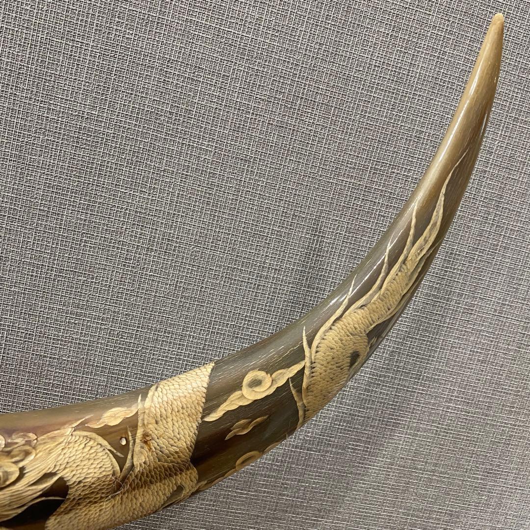 水牛の角　置物　インテリア