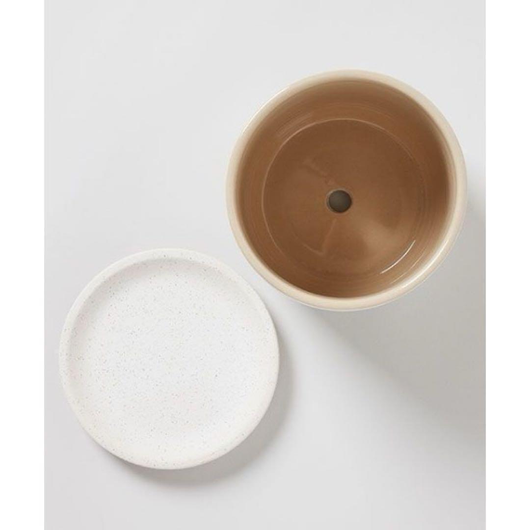 トゥデイズスペシャル / デシレ ポット 15cm