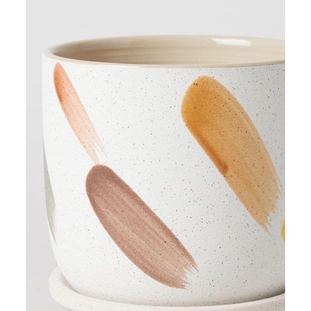 トゥデイズスペシャル / デシレ ポット 15cm