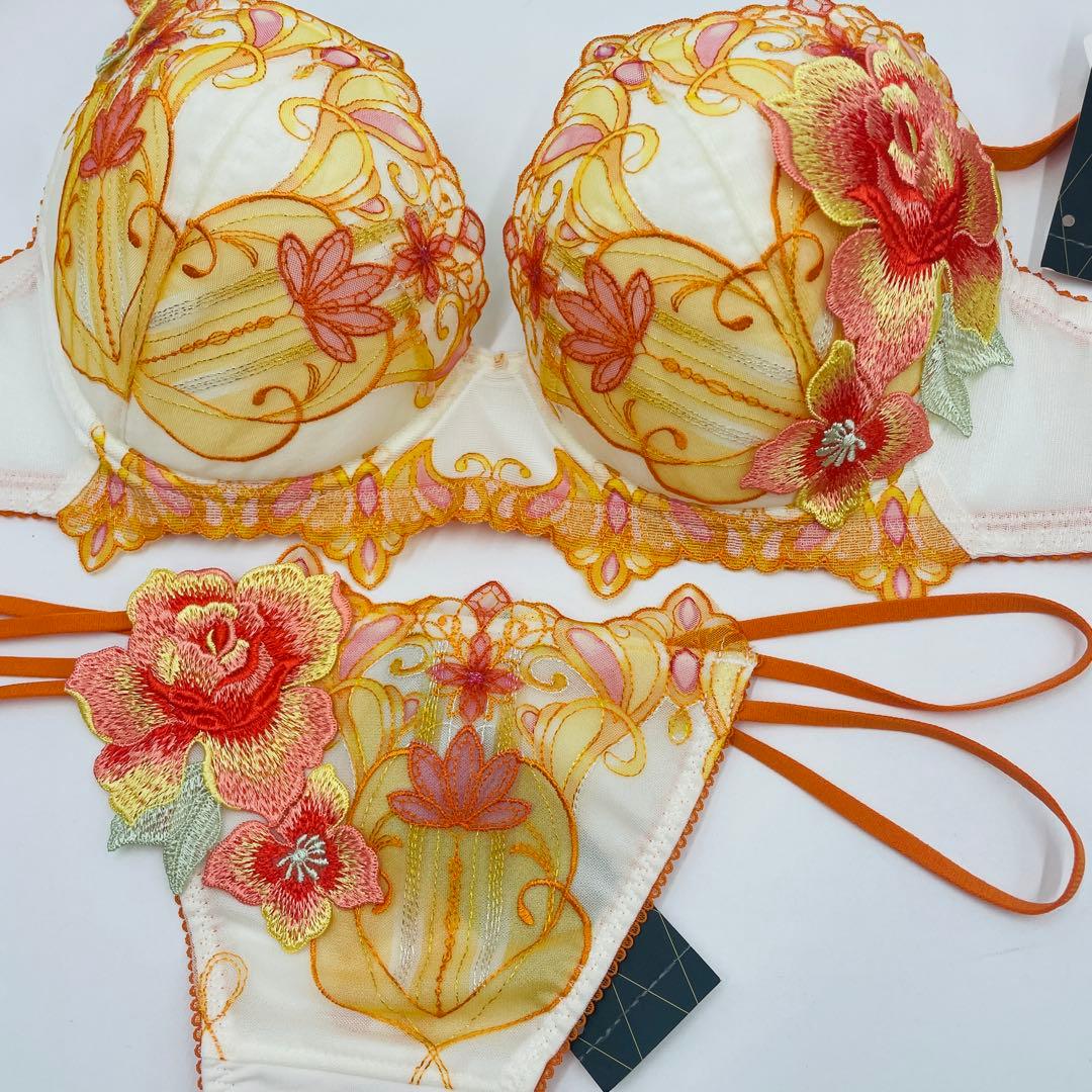 ワコール サルート　Wacoal Salute ブラ&ソングセットE75L