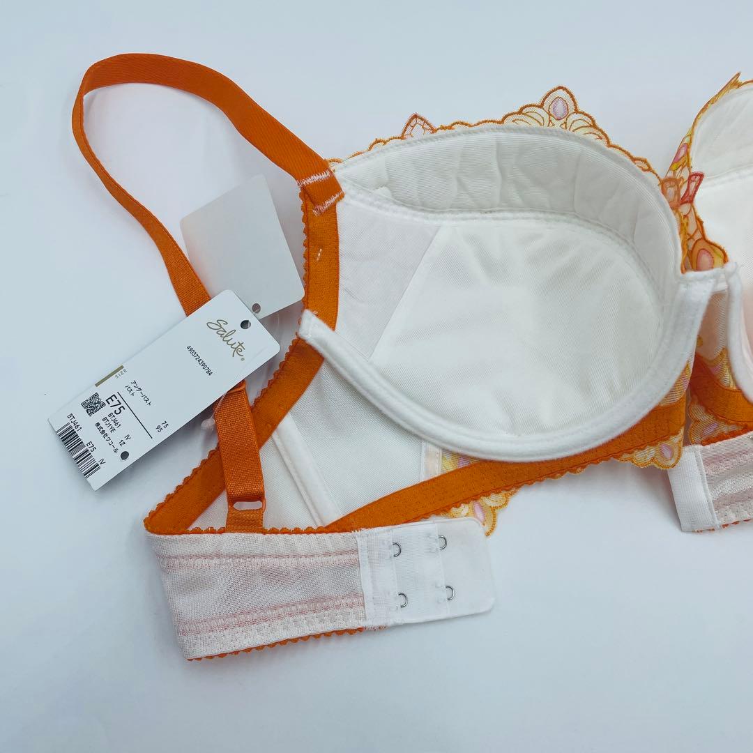 ワコール サルート　Wacoal Salute ブラ&ソングセットE75L