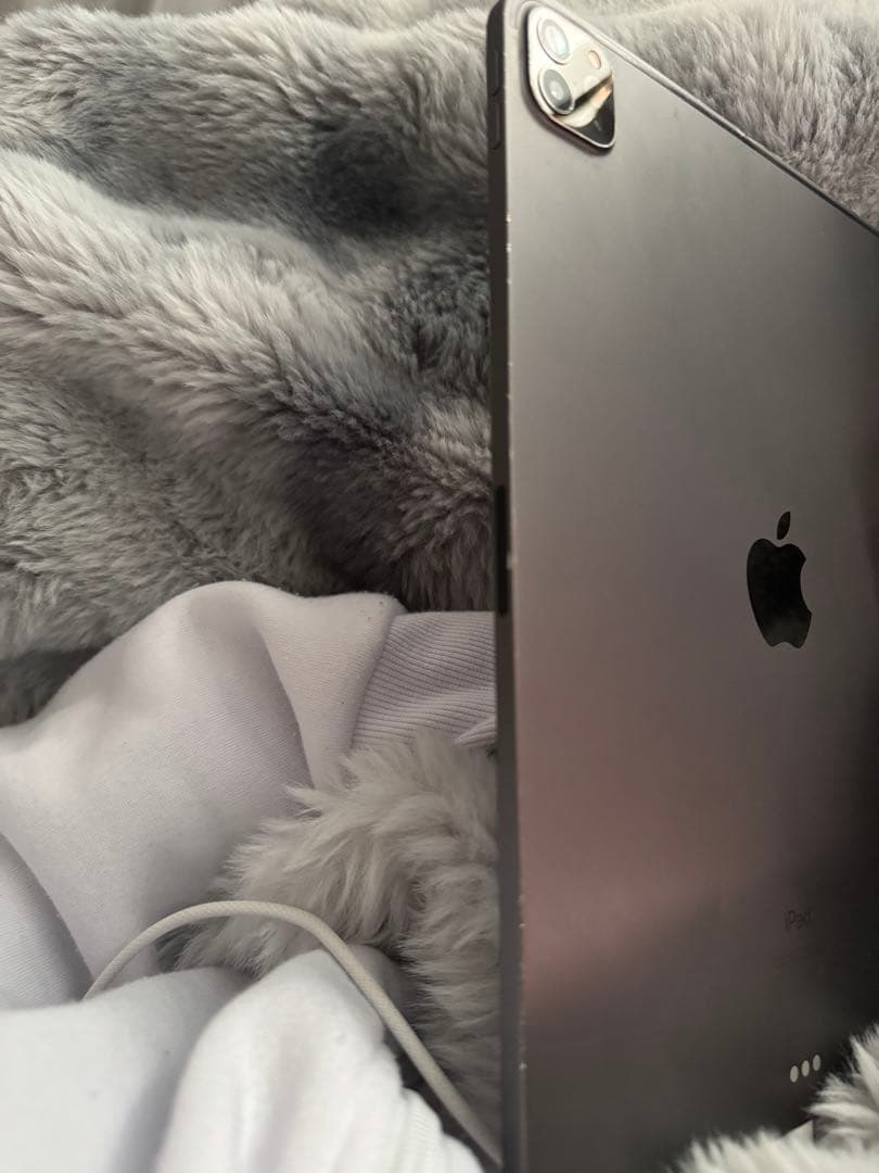 Apple iPad Pro 11インチ 第2世代