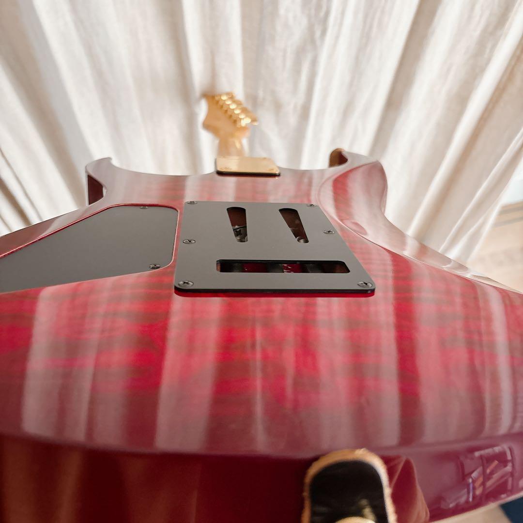 FERNANDES FA-10 エレキギター アーム付 説明書・ストラップ付