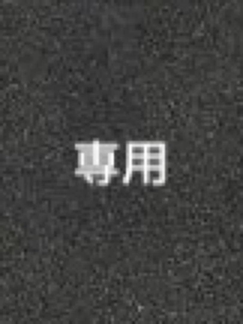 DAKINE　ダカイン　TITAN GORE-TEX　スノーグローブ