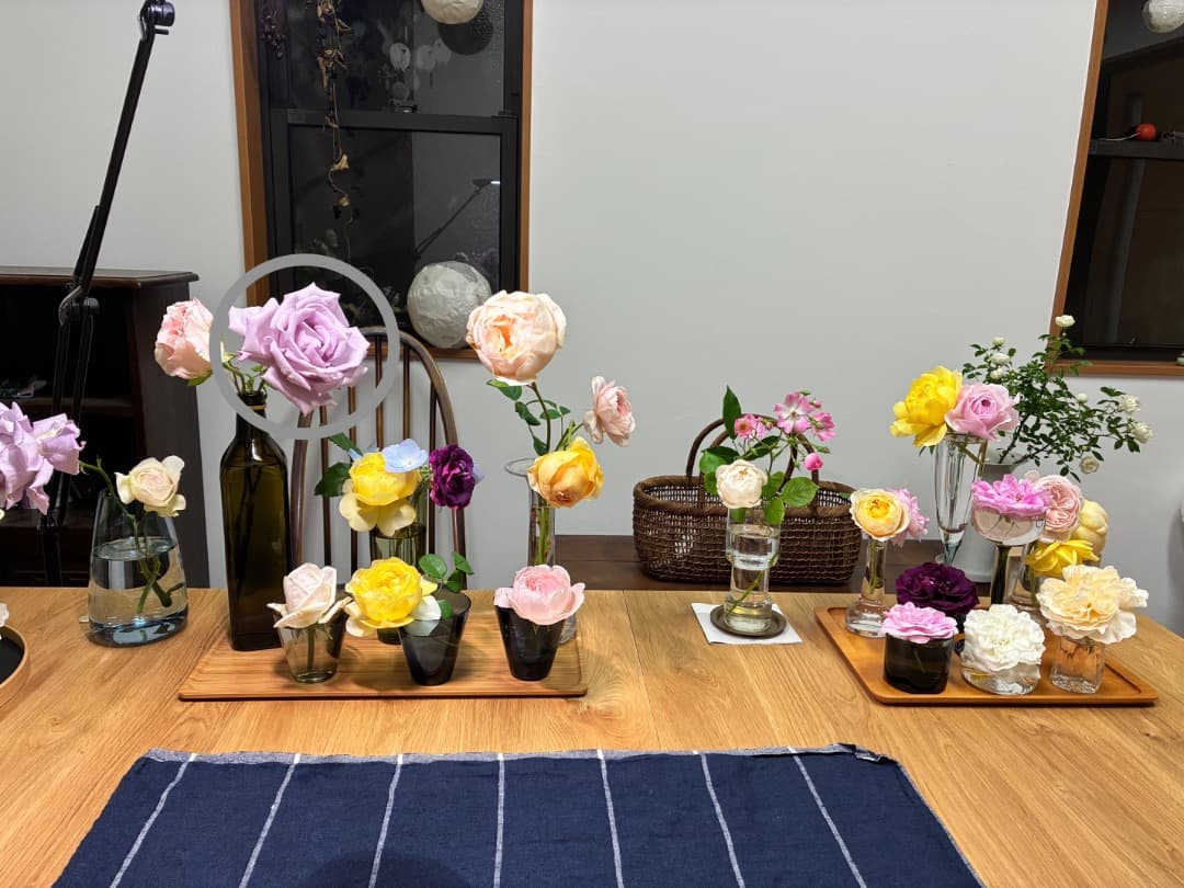 【バラ「超」大苗】　ブルームーン