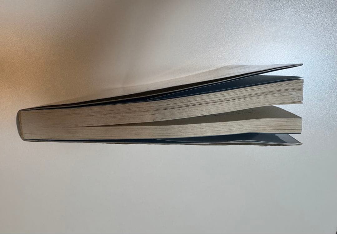 厳新気功学テキスト 厳新 前新 培金 李紅