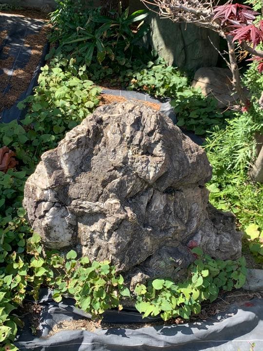 庭石