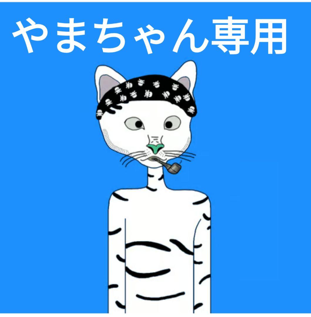 SBS 銅製フライパン