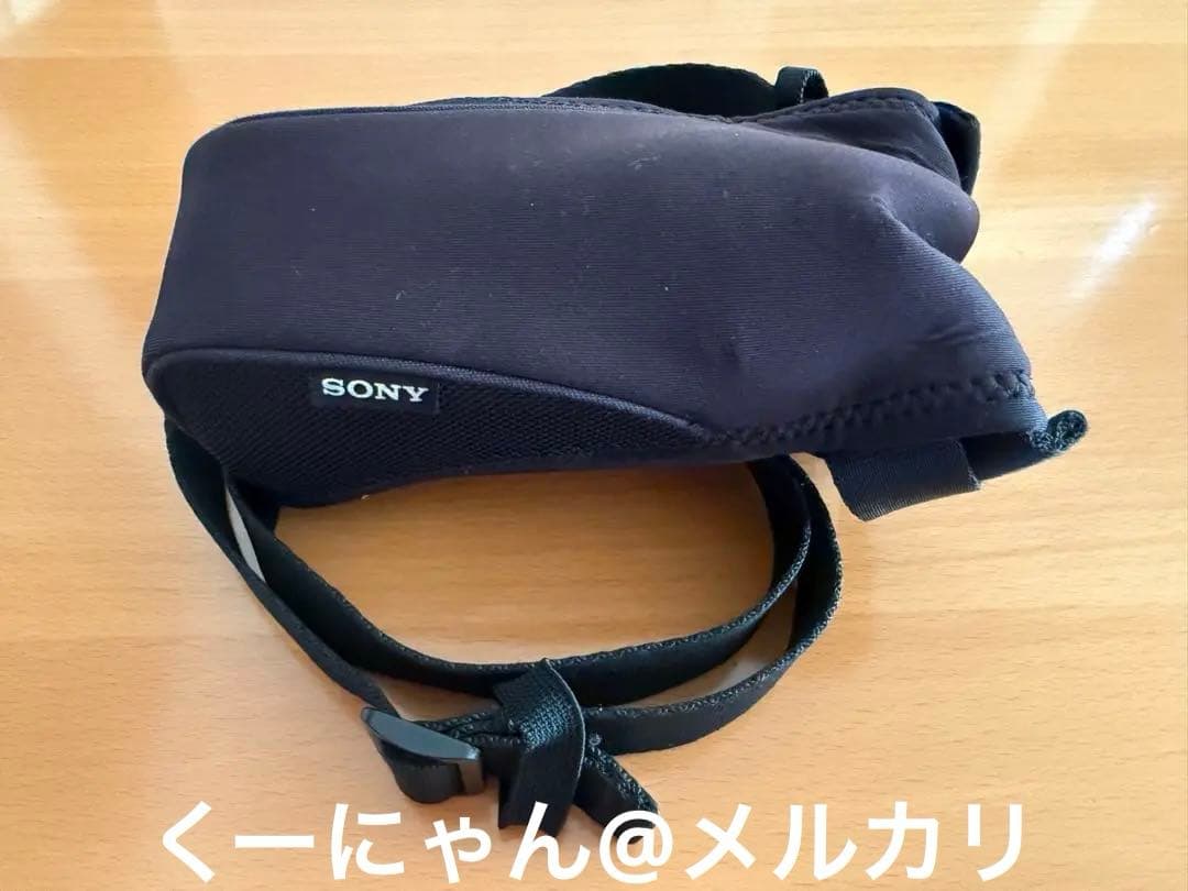 ソニーハイビジョンデジタルビデオカメラHDR-CX590V