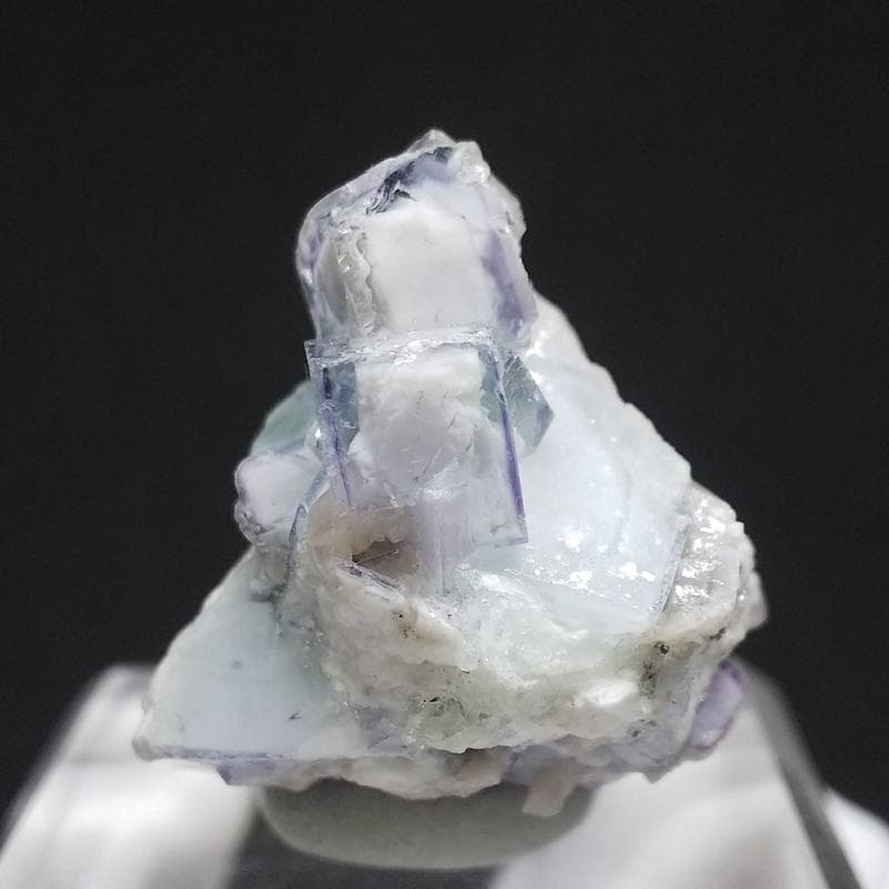 329 ポーセリンフローライト