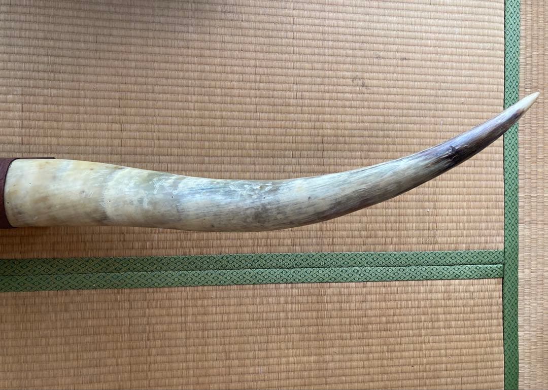 希少　テキサスロングホーン角　200㎝　オーナメント　壁掛け飾り　アメリカン雑貨