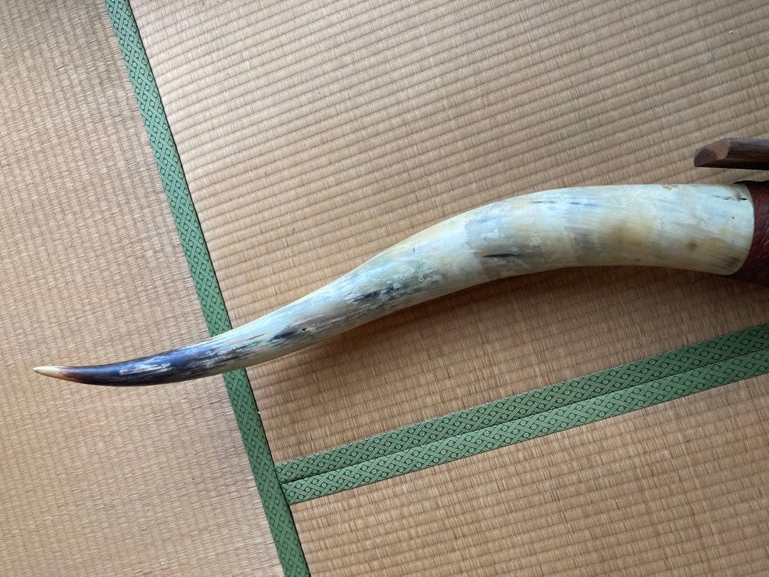 希少　テキサスロングホーン角　200㎝　オーナメント　壁掛け飾り　アメリカン雑貨