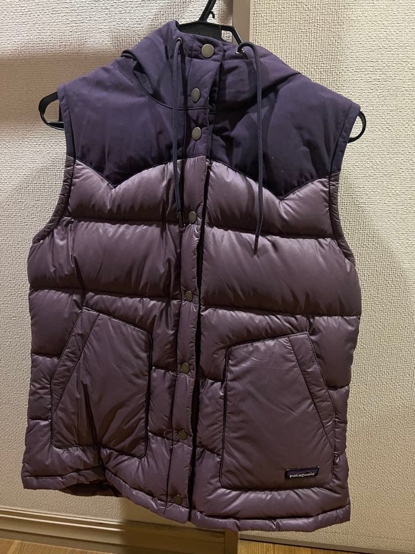 Patagoniaのダウンベスト タグ付き未使用品