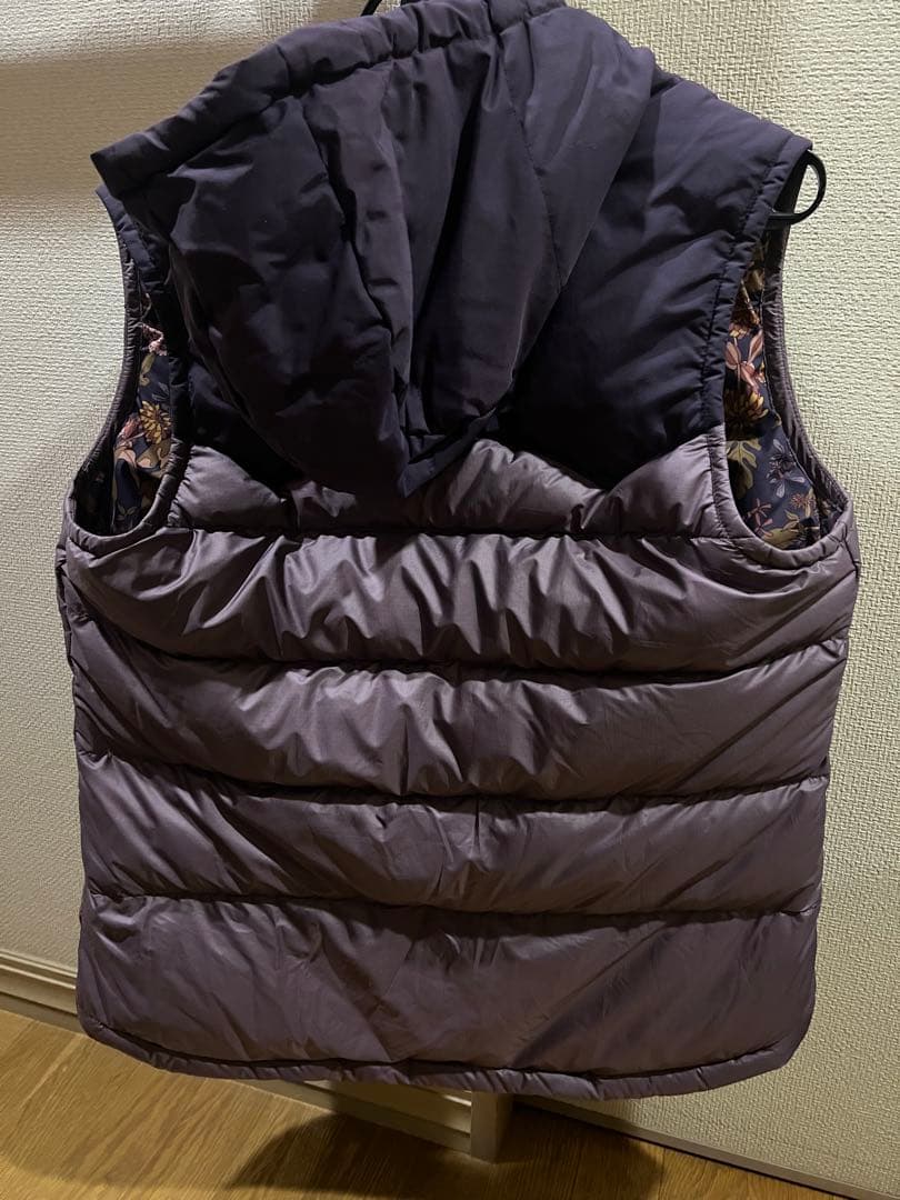 Patagoniaのダウンベスト タグ付き未使用品