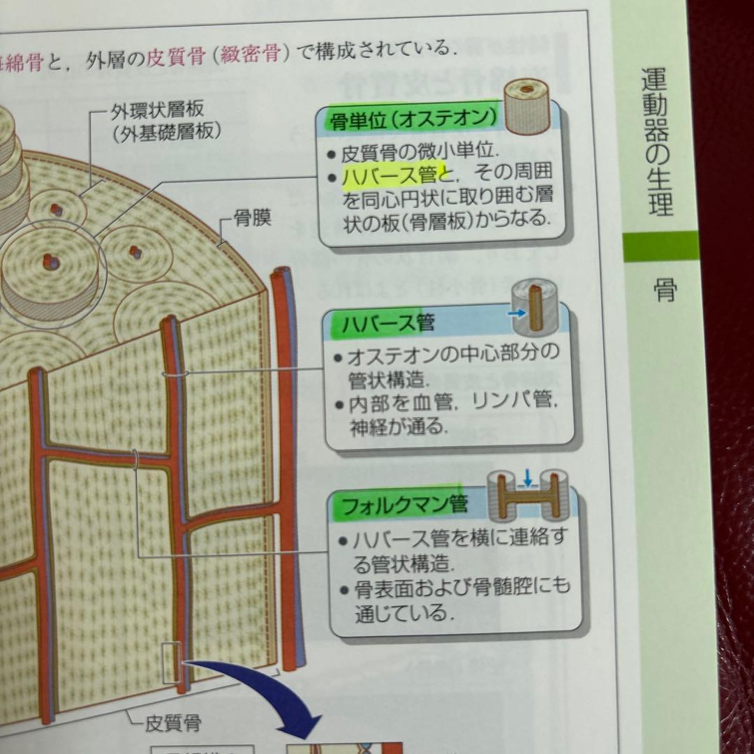 病気がみえる 1-11巻セット　びょうみえ