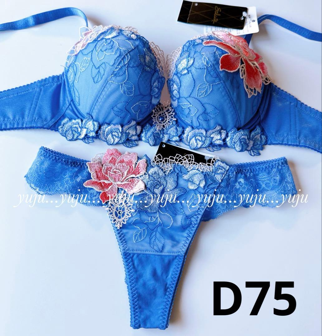 ワコール/サルート 76G p-upブラ TバックD75 LG