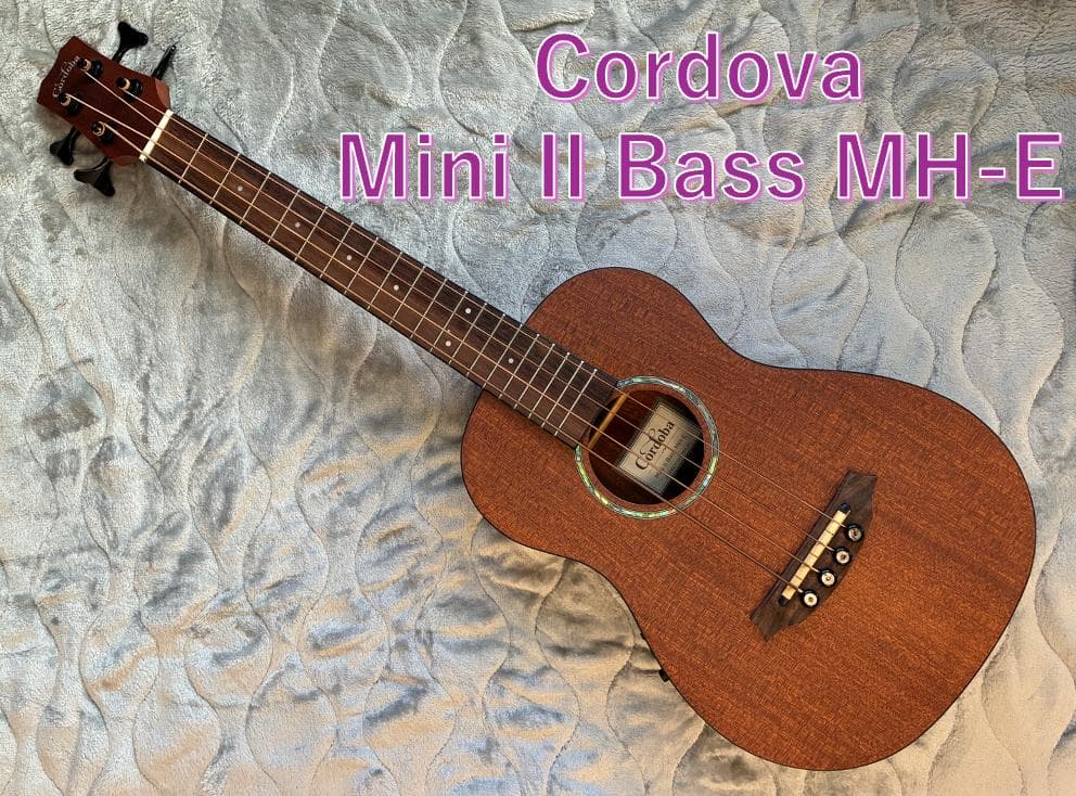 Cordoba Mini II Bass MH-E アコースティックベース