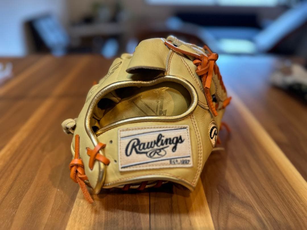 ローリングス軟式用　大人投手用グローブ