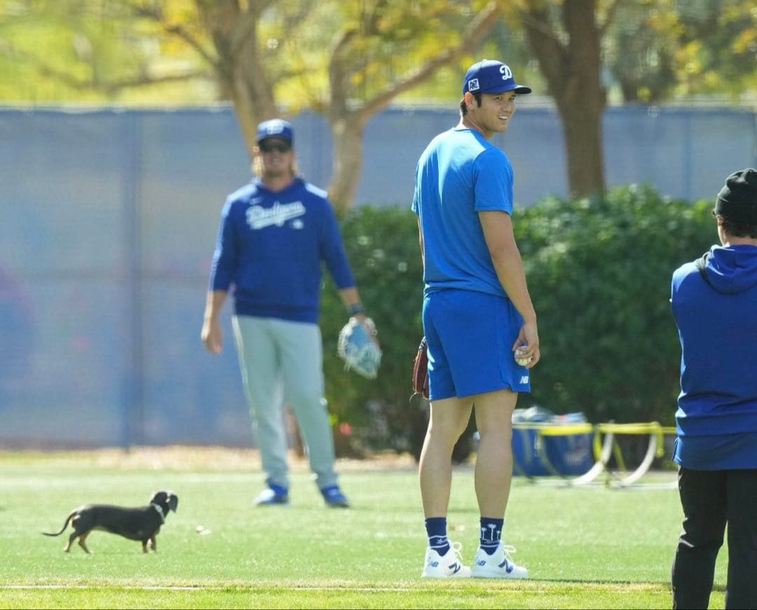 ニューバランス FUELCELL OHTANI1 Trainer ブルー大谷翔平