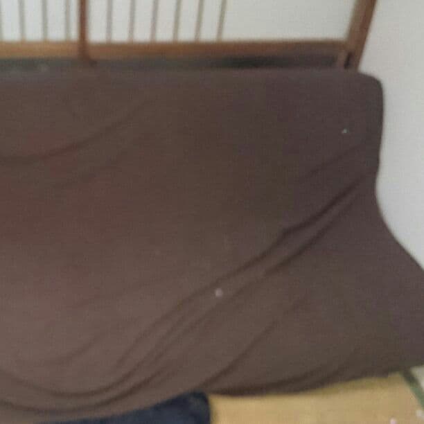 ソファーベッド水色