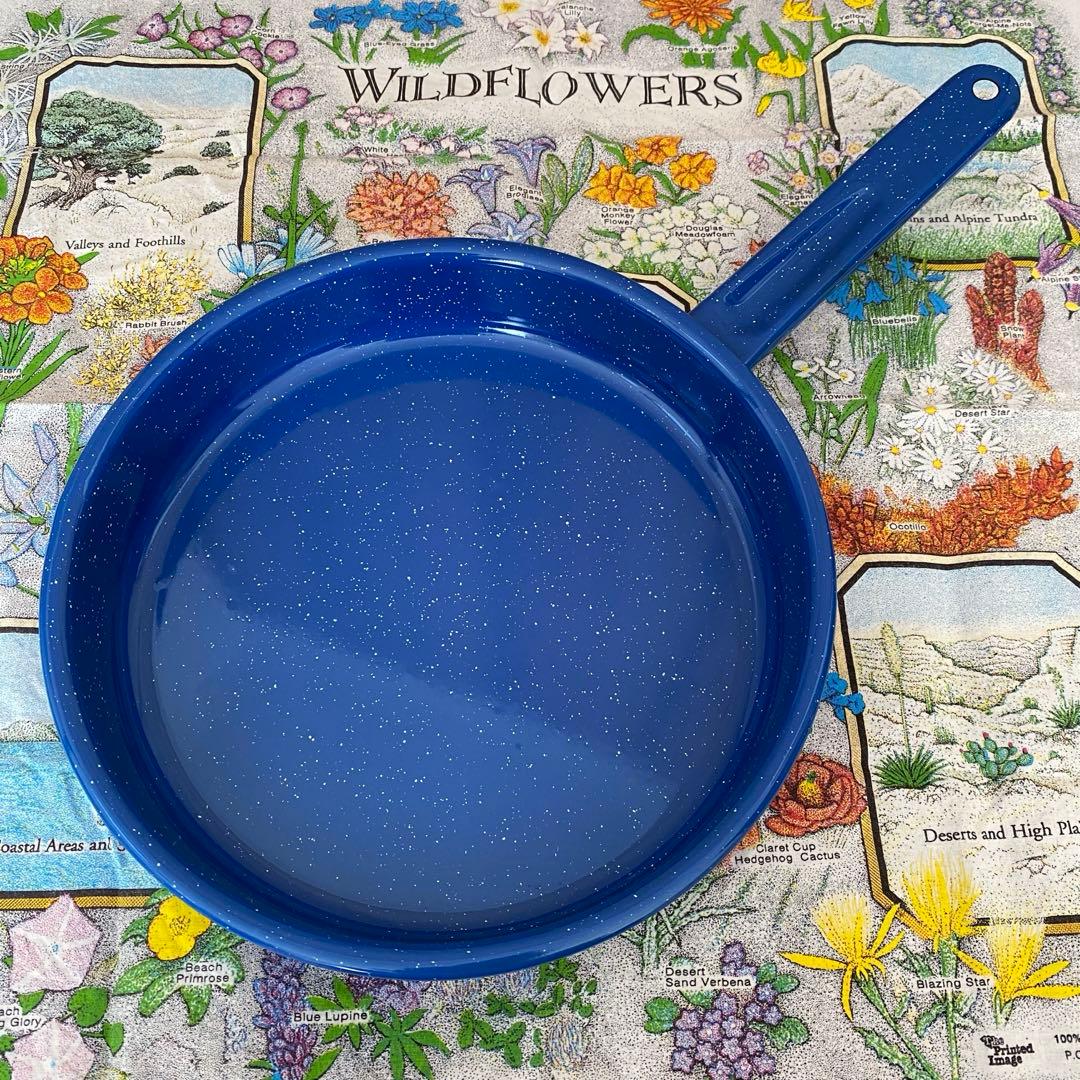 GSI ジーエスアイ　パイオニア　ホーロー 食器セット　（※１２点セット）