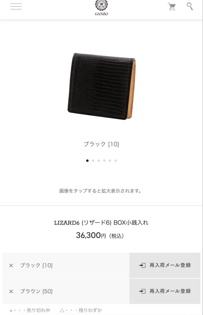 ‼️‼️‼️‼️‼️早い者勝ち‼️‼️‼️‼️‼️GANZO リザード　ケース　ブラック