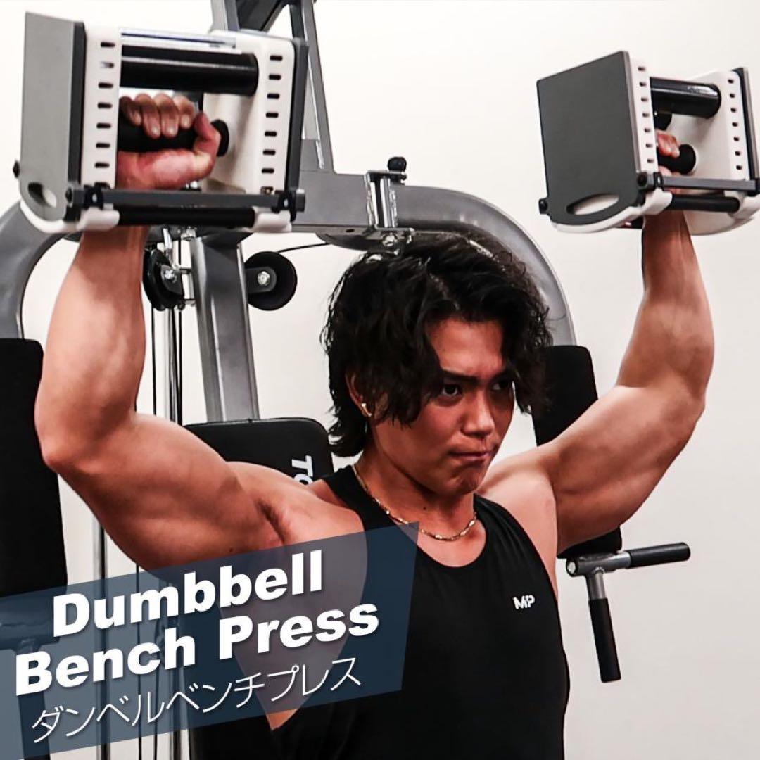 可変式ダンベル パワー ブロックダンベル 26kg 単品