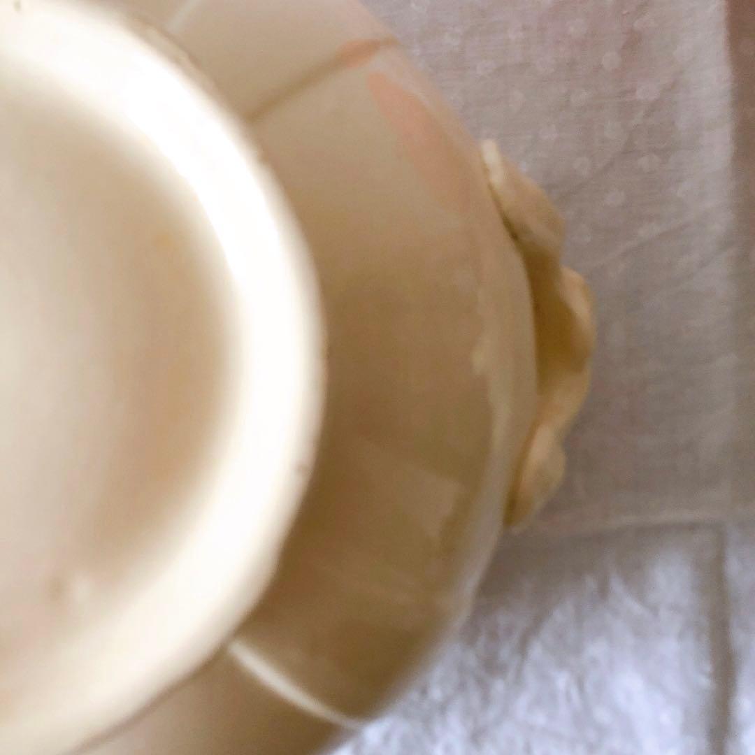 ディゴワンサルグミンヌ 花リムスーピエール フランスアンティーク食器　ブロカント