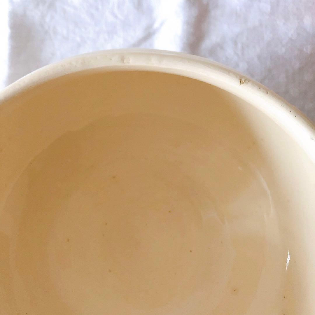 ディゴワンサルグミンヌ 花リムスーピエール フランスアンティーク食器　ブロカント