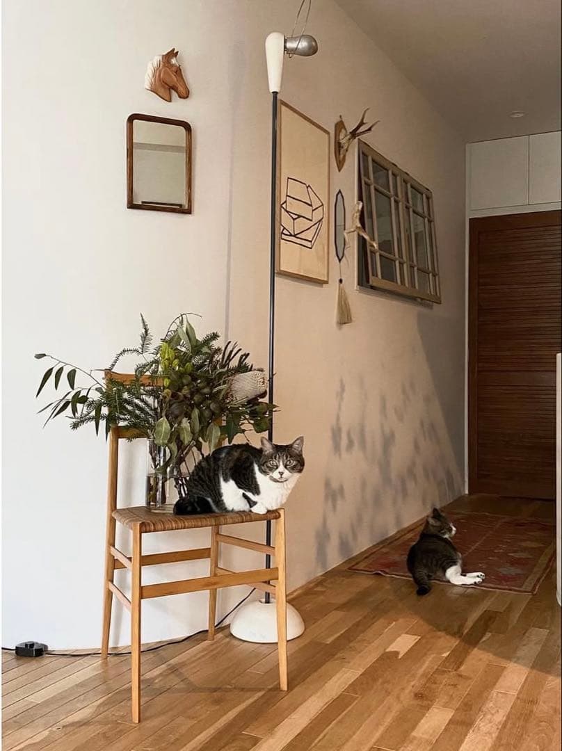 Cassina スーパーレジェーラ ジオポンティ