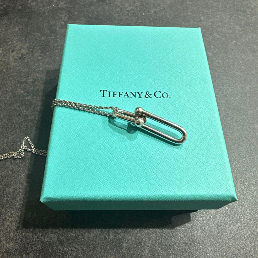 ティファニー【交渉・即購入可】シルバー　ネックレス　リンク　ワンポイント　細長