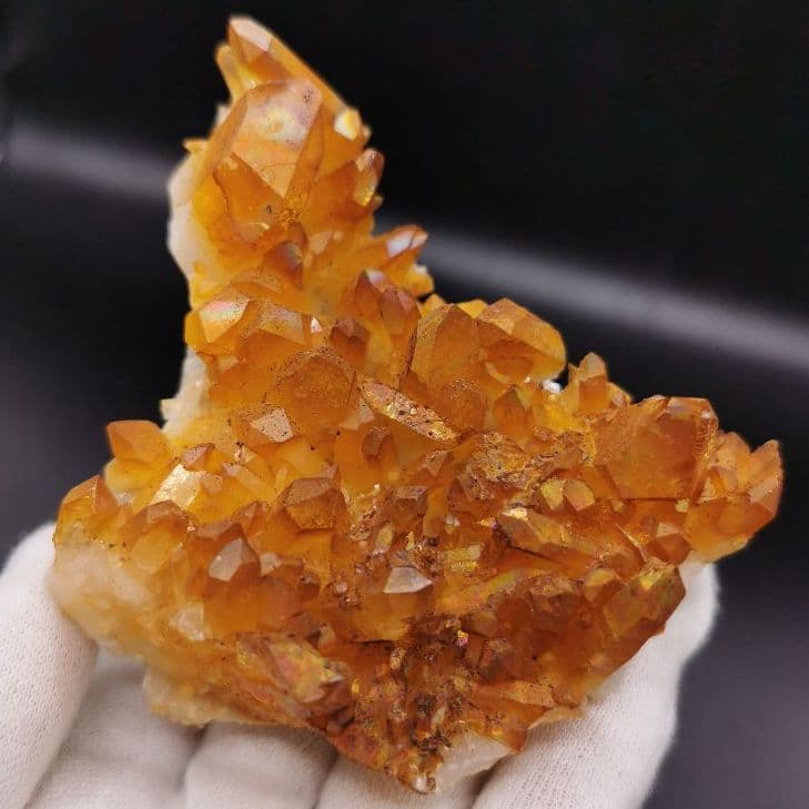 レア アーカンソー産 ゴールデンヒーラー クラスター A