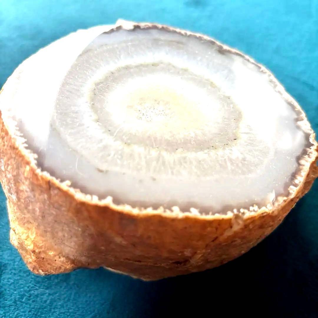 BIG 命根石　　水入りメノウ　歴史あるパワーストーン