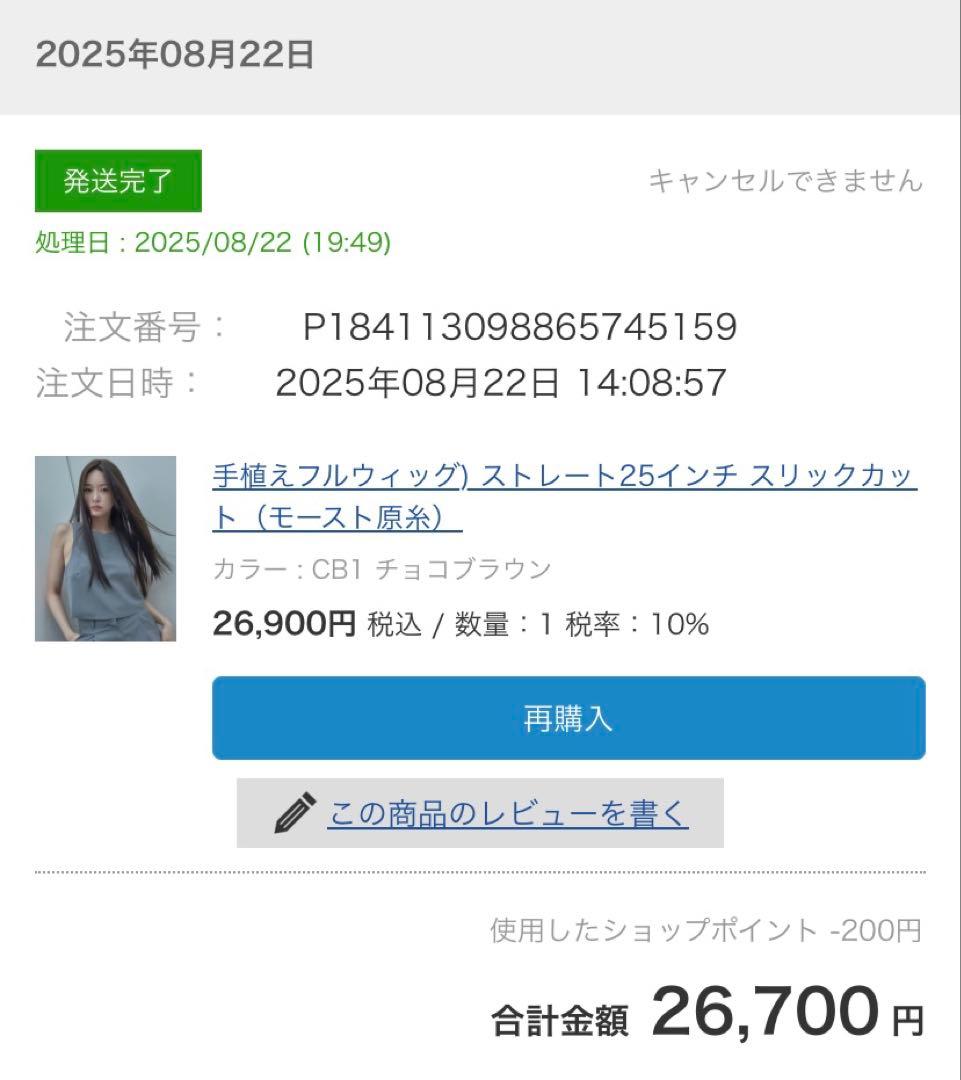 ピンクエイジ 総手植え 完売品カラー チョコブラウン スリックカットストレート