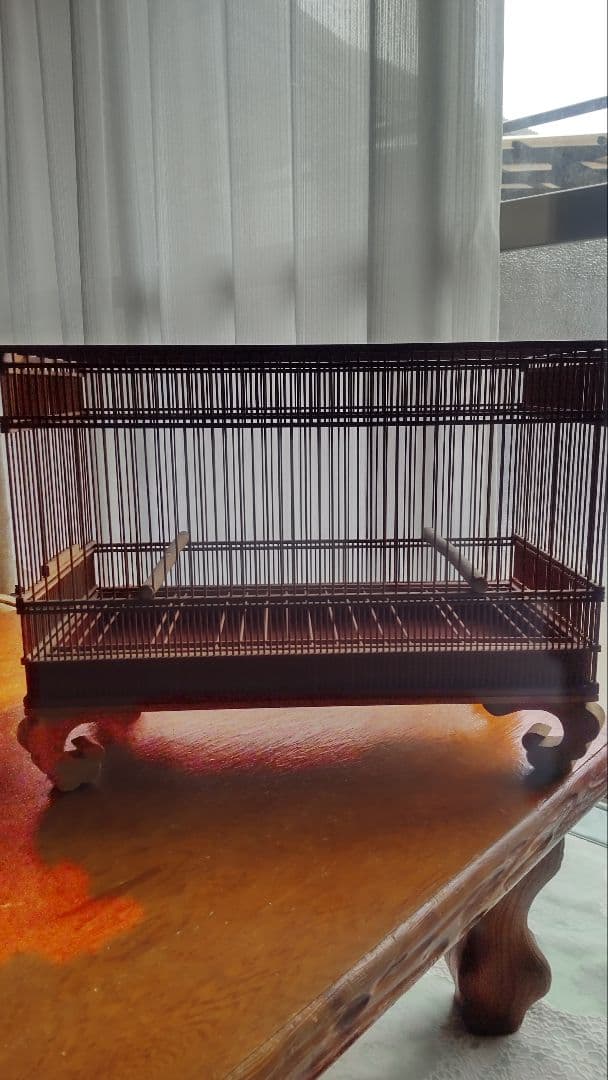 メジロ、ウグイス和鳥籠