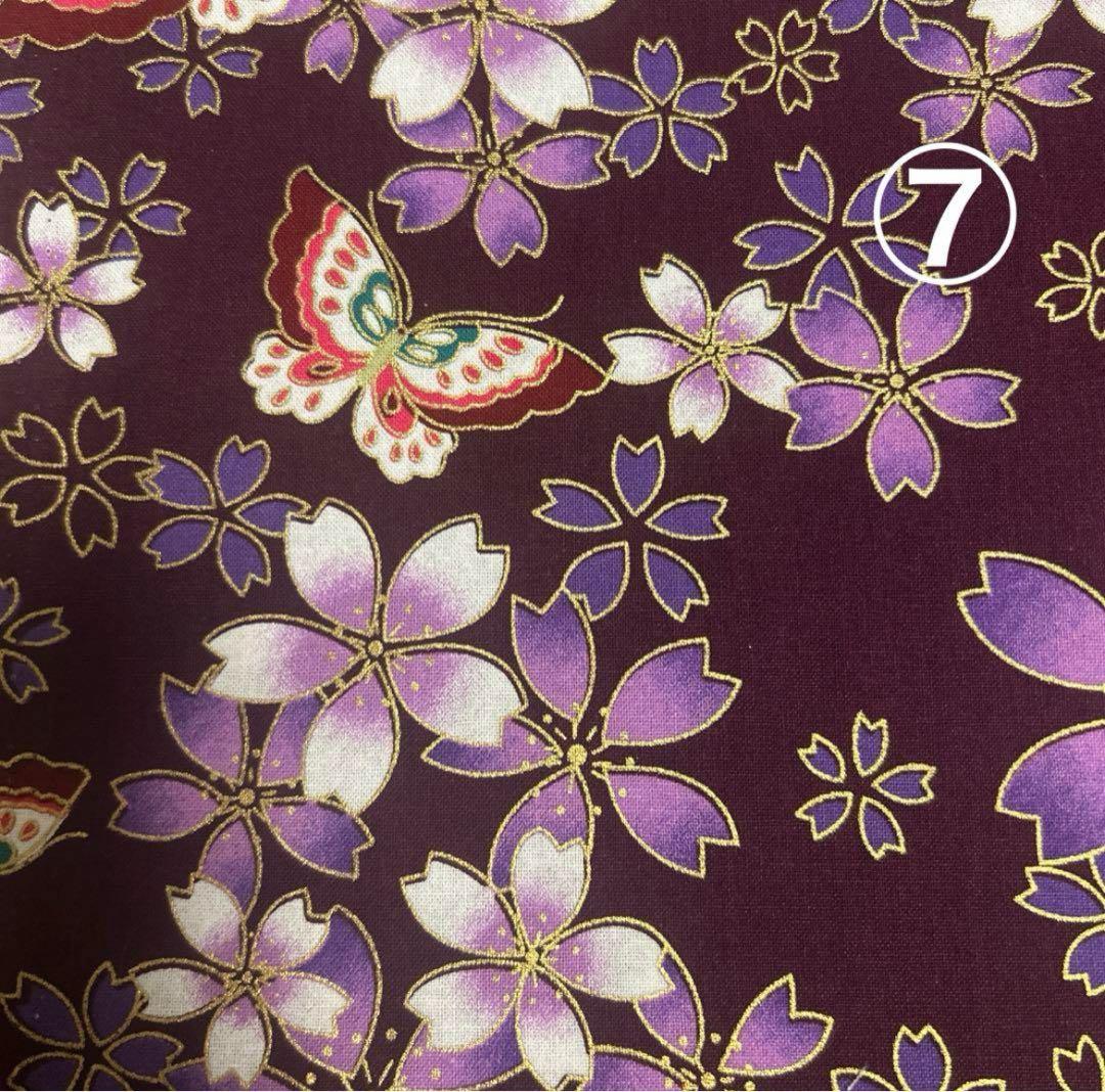 Hukumariラスト限定品❗️超レアパネルポメラニアン合格祈願お守り片面9