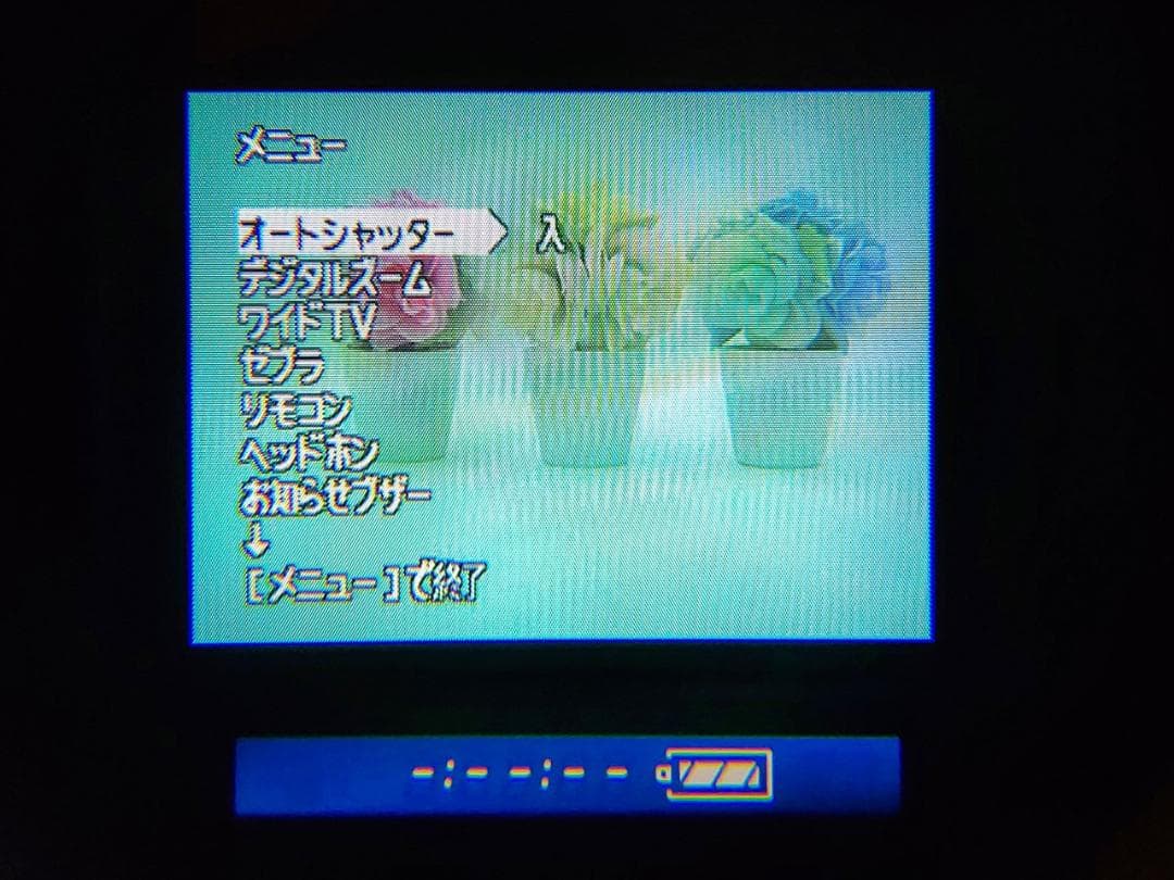 プロ向けモデル！ SONY ビデオカメラ DCR-VX1000 02