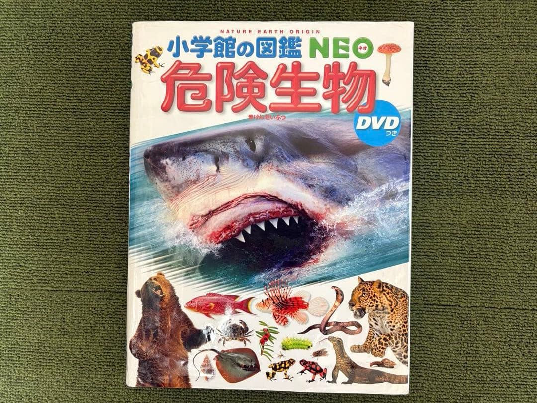小学館の図鑑NEO10冊 ＆ 学研図鑑1冊、全11冊セット