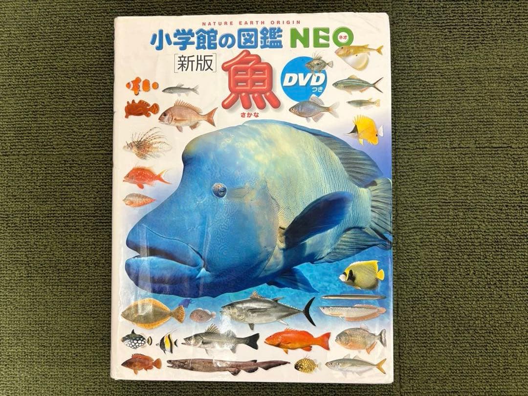 小学館の図鑑NEO10冊 ＆ 学研図鑑1冊、全11冊セット